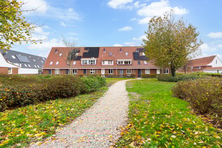 Madelief 9 in Pijnacker Foto