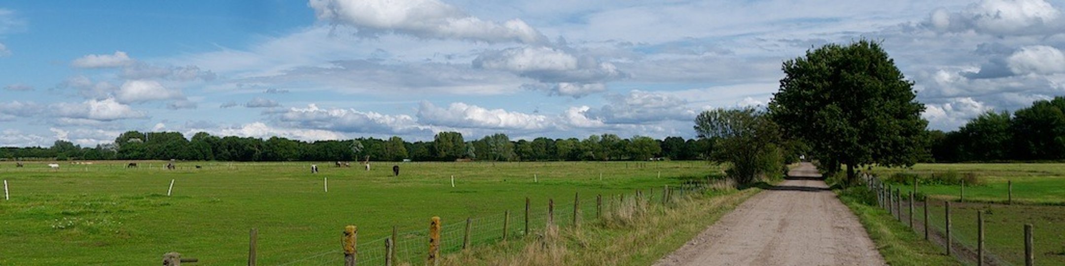 Kantoorfoto Madeline Lindeman Makelaardij o.g.