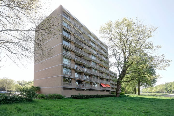 Malvert 6528 in Nijmegen