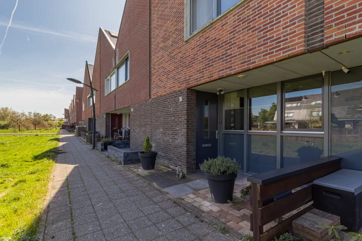 Maneschijn 31 in Assendelft