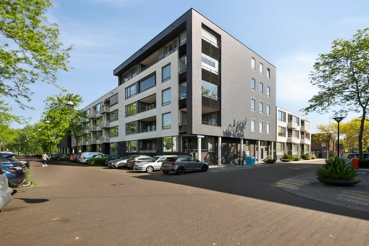 Manis Krijgsmanhof 96 in 's-Hertogenbosch