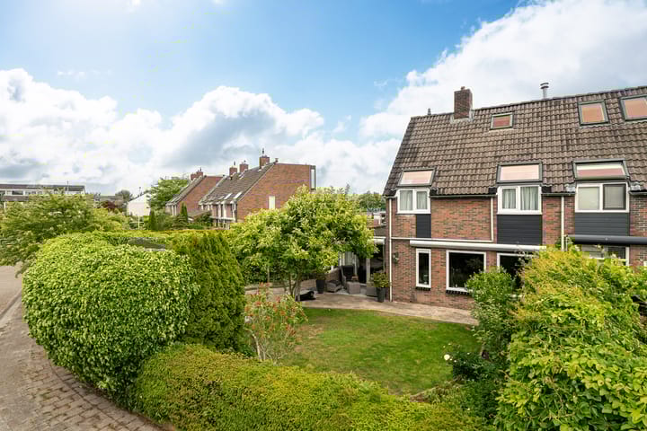 Mannagras 49 in Leeuwarden Foto