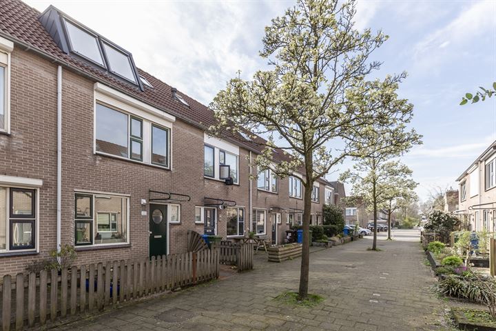 Marketentster 317 in Alphen aan den Rijn