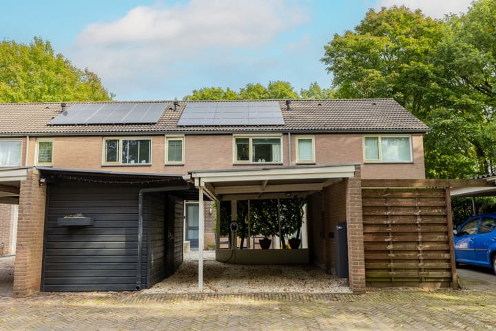 Marter-revier 54 in Cuijk