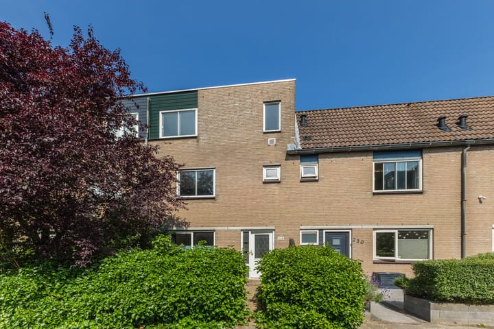 Mastbos 228 in Hoofddorp