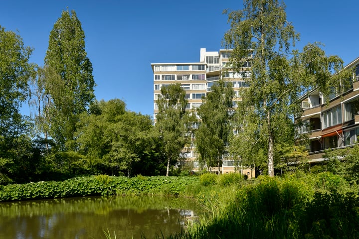 Meander 795 in Amstelveen