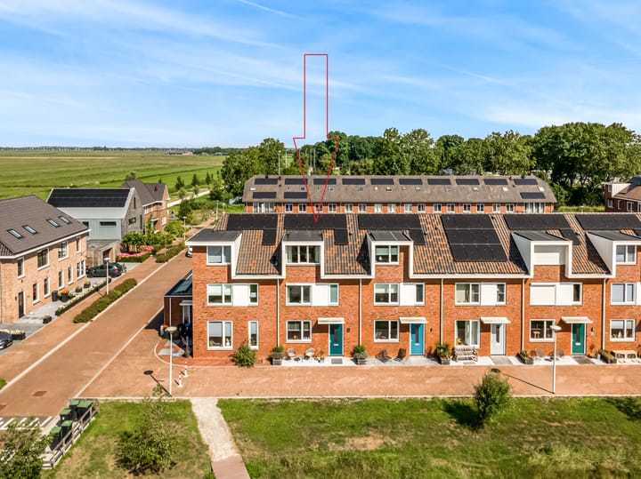 Meerkoet 14 in Noorden
