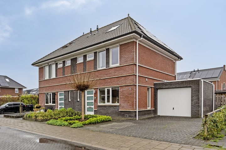 Meerkoet 17 in Bedum