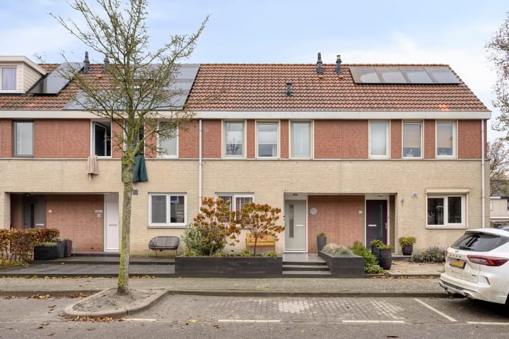 Meerkoet 22 in Bergen op Zoom