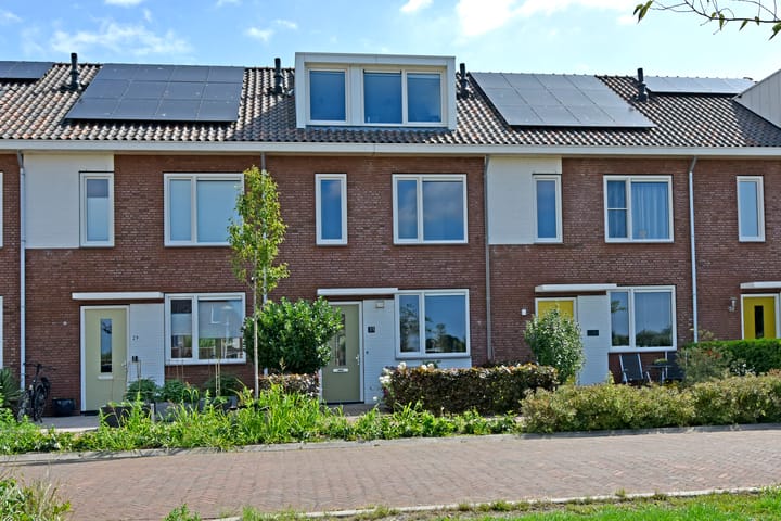 Meerkoet 31 in Noorden