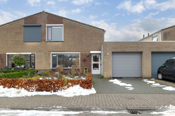 Meerkoet 37 in Meppel