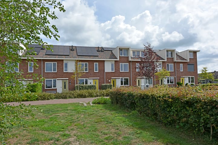 Meerkoet 41 in Noorden