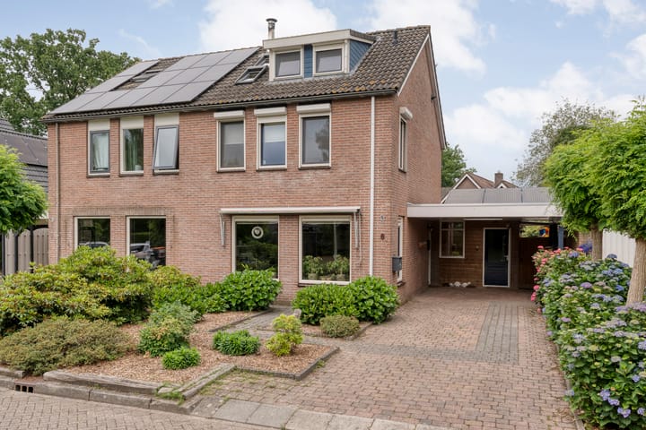Meerkoet 6 in Ommen