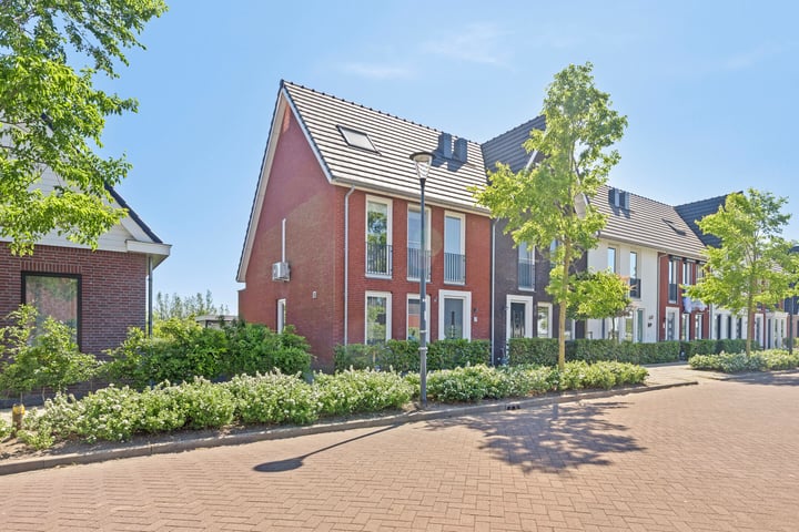 Meerkoet 9 in Piershil