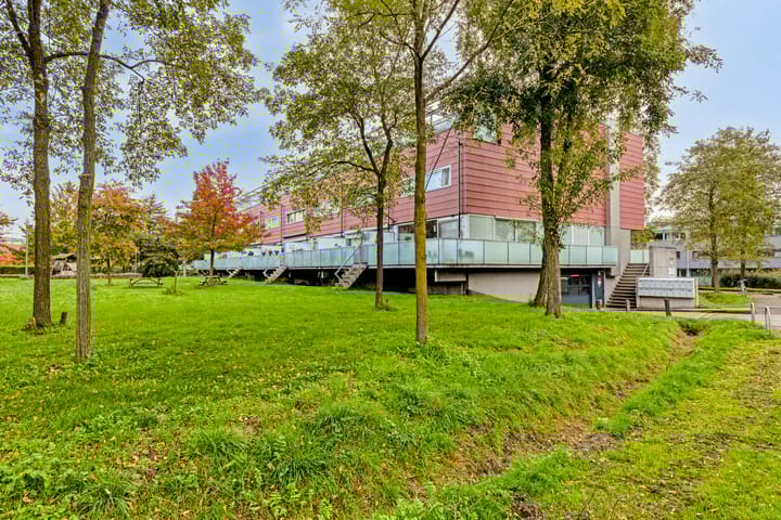 Meerval 30 in Amersfoort