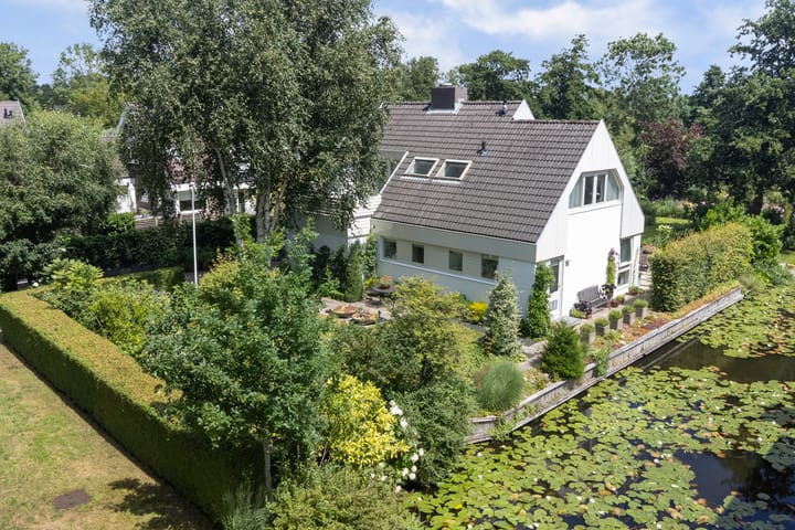 Meeuw 2 in Broek op Langedijk photo