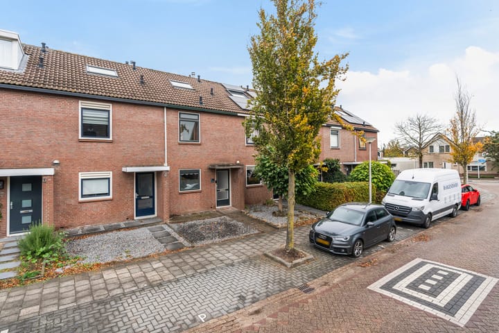 Meeuwenlaan 11 in Groot-Ammers