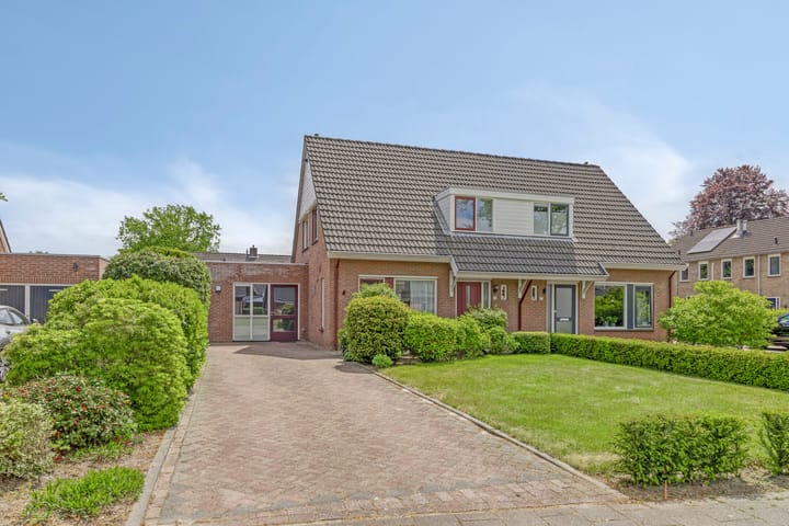 Meidoorn 4 in Gieten