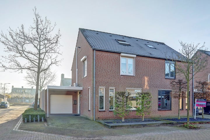 Melde 1 in Udenhout