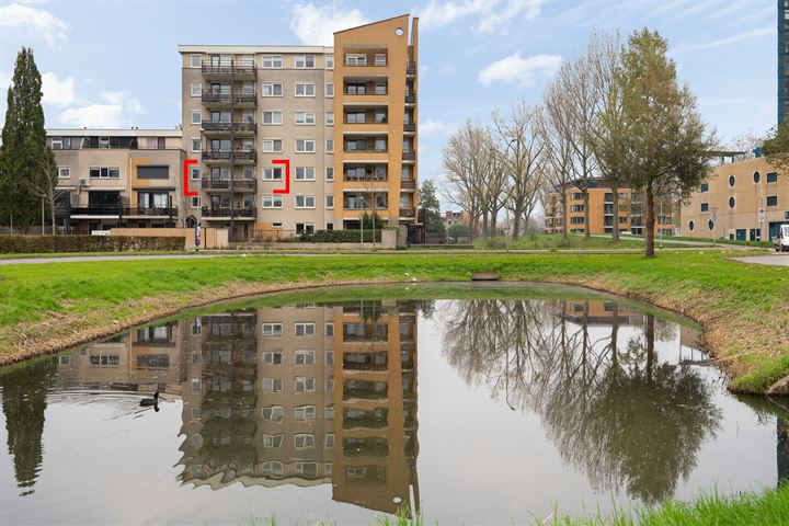 Merbau 88 in Dordrecht