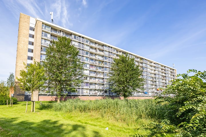 Metaallaan 251 in Groningen