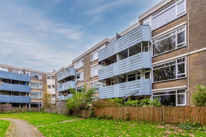 Midscheeps 37 in Amsterdam