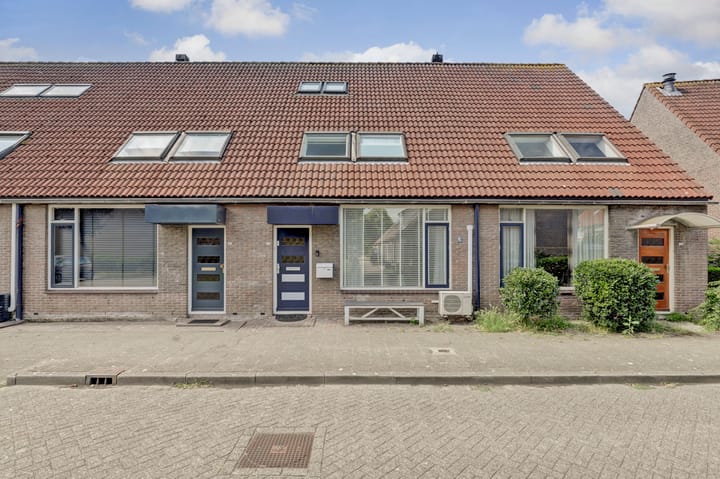 Minerva 19 in Hellevoetsluis