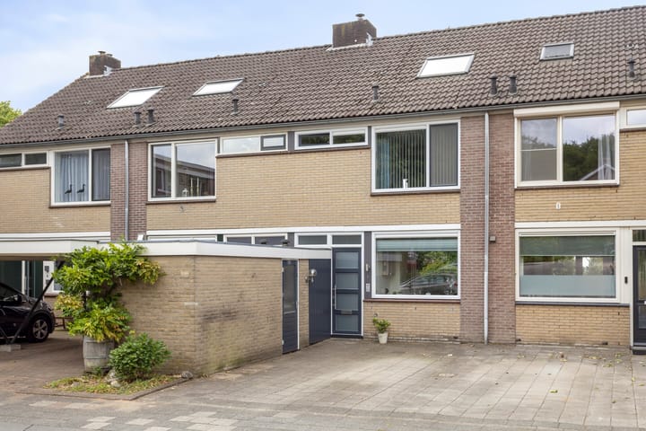 Molenberg 53 in Rhenen