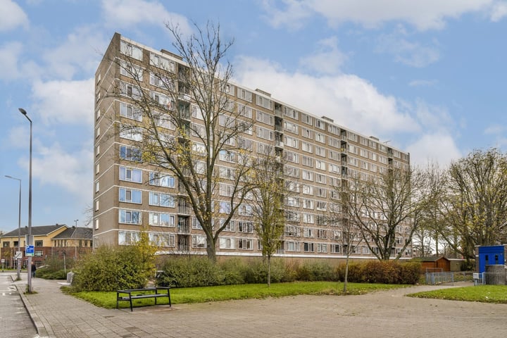 Molenvliet 100 in Rotterdam