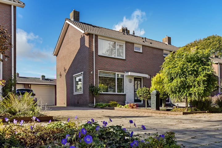 Mondsteen 31 in Delfzijl