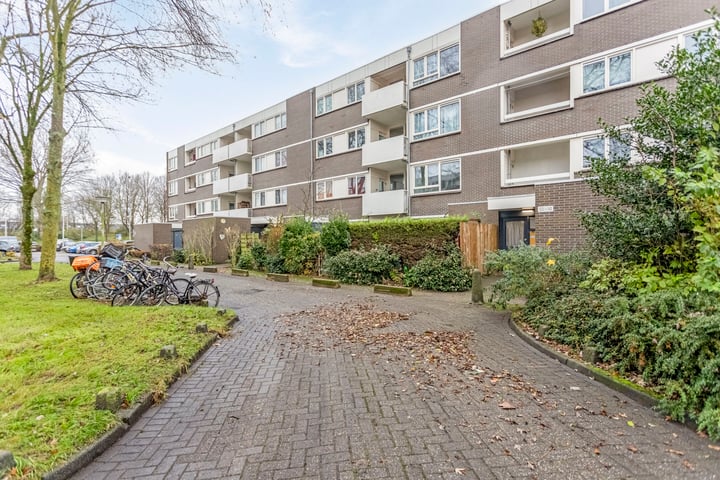 Montfoorthof 138 in Amsterdam Foto
