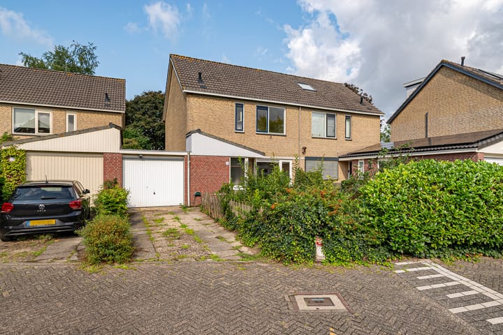 Mos 16 in Huizen