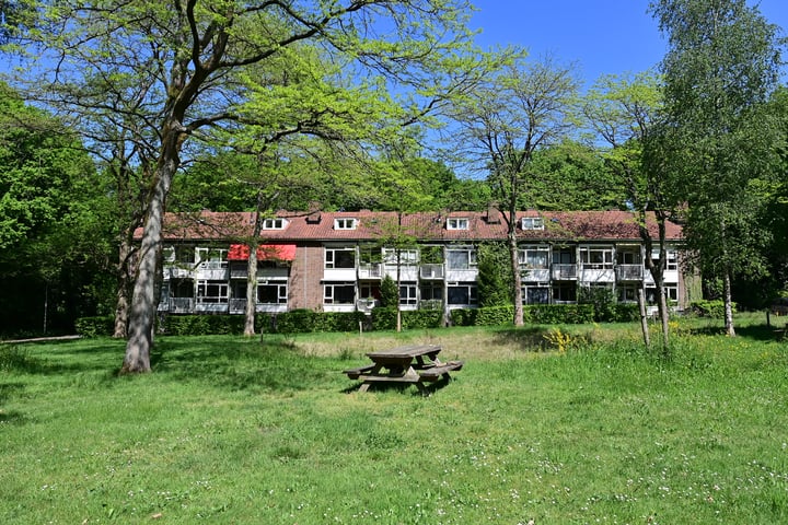Mr. Th. Heemskerklaan 49B in Amersfoort