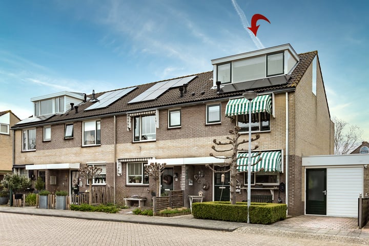 Muurmos 4 in Bergschenhoek