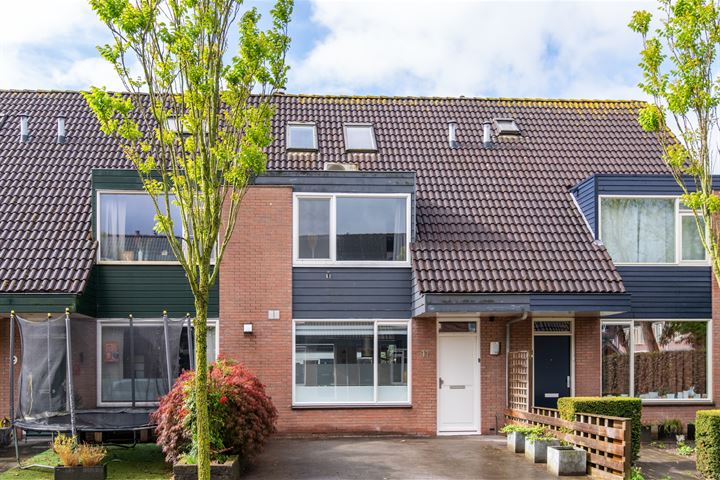 Muurzwaluw 11 in Veenendaal