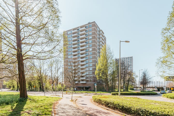 Nachtwachtlaan 488 in Amsterdam photo