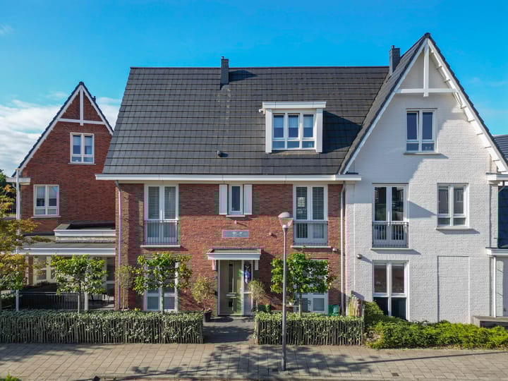 Narcis 3 in Voorhout