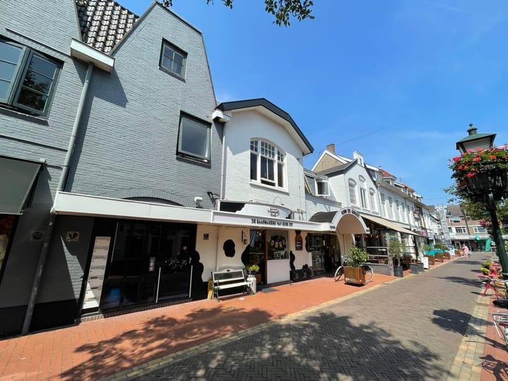 Nassaustraat 1D in Bussum