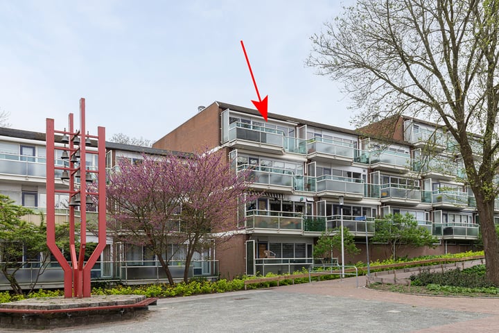 Nedersassen 61 in Alblasserdam