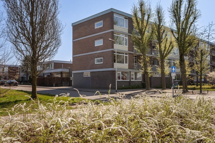 Nieuwe Mollenhutseweg 51 in Nijmegen