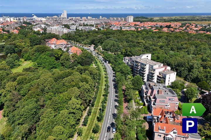 Nieuwe Parklaan 79E in 's-Gravenhage