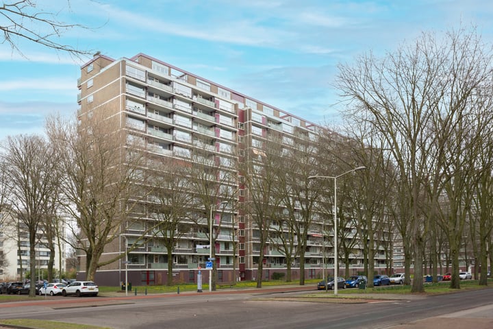 Nieuwendamlaan 232 in 's-Gravenhage