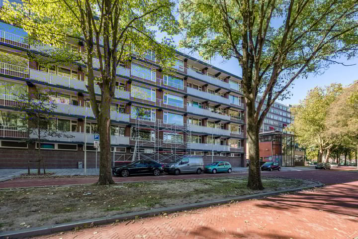 Nieuwendamlaan 31 in 's-Gravenhage