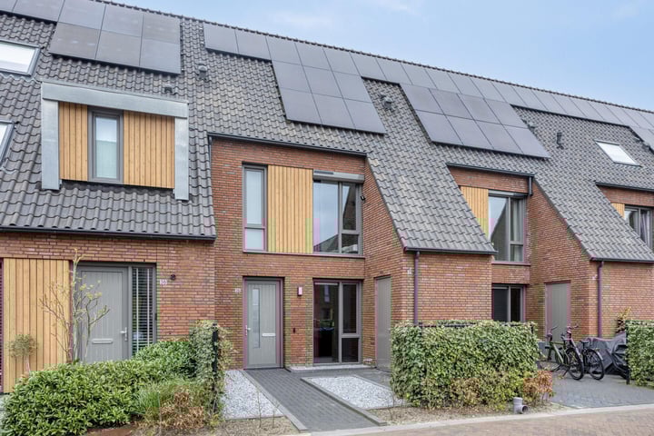 Notarisappel 36 in Kampen