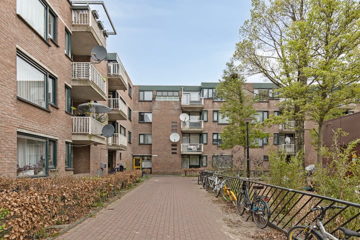 Obiplein 47 in Amsterdam Foto