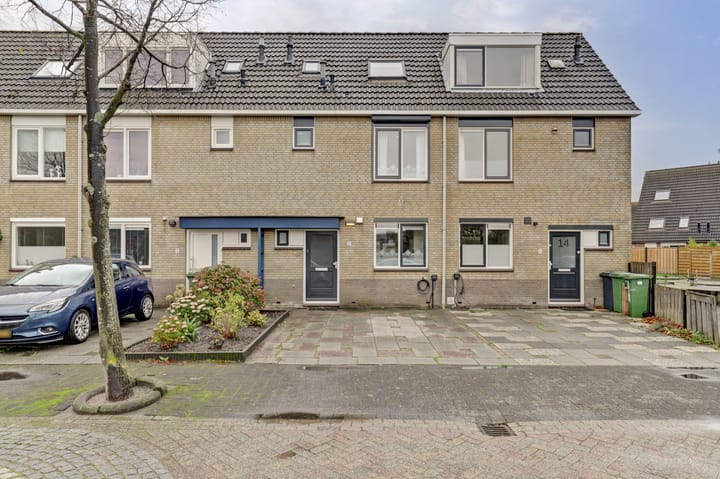 Obrecht 16 in Monster