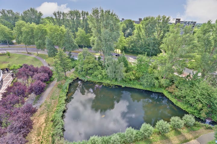 Photo of property Octant 71, Dordrecht