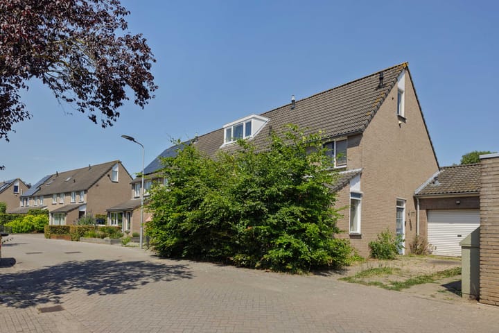 Oeverzwaluw 1 in 's-Hertogenbosch