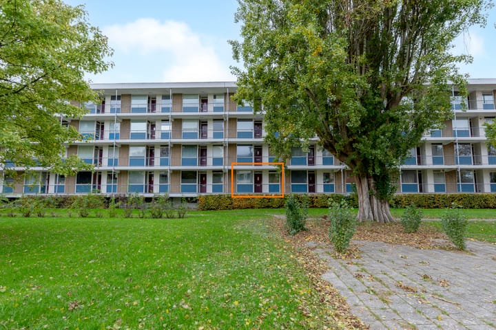 Ogierssingel 113 in Rotterdam