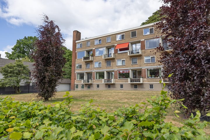 Oliemolensingel 256 in Enschede foto